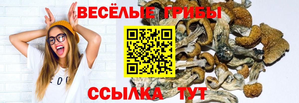 Псилоцибиновые грибы MAGIC MUSHROOMS  Псилоцибиновые грибы Psilocybe  Красногорск  Вход с VPN 
